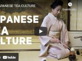 tea culture